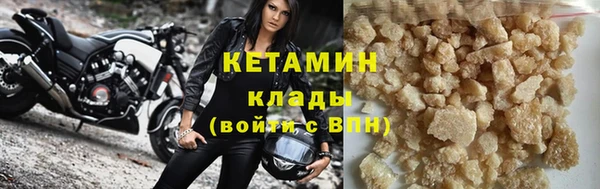 индика Гусев