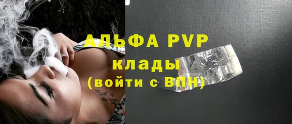 гидра Горнозаводск