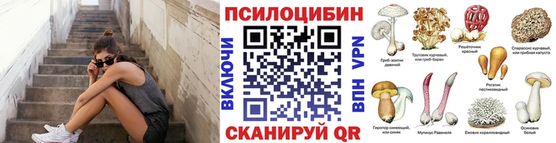 Галлюциногенные грибы прущие грибы  Купить  Чкаловск 